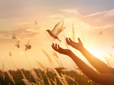 Janeiro: De esperança em esperança, promovendo a Paz!